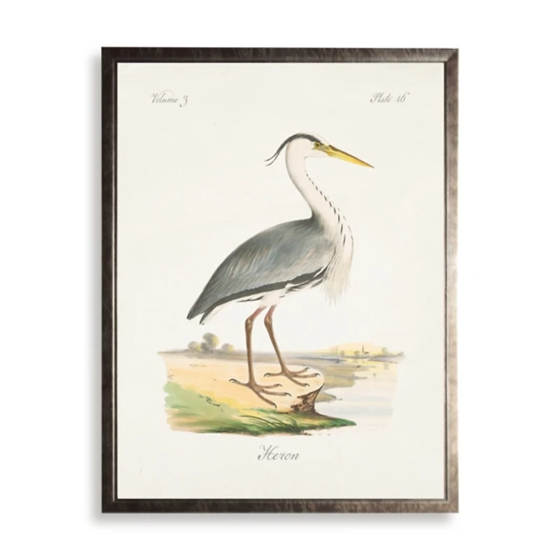 Heron Waterbird Framed Art Print