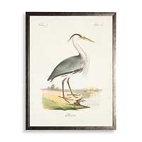 Heron Waterbird Framed Art Print