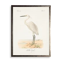 White Egret Framed Art Print