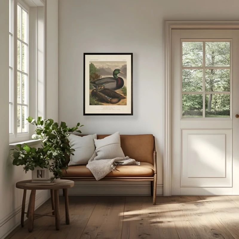 Rouen Ducks Framed Art Print