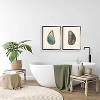 Oyster Shell II Framed Art Print