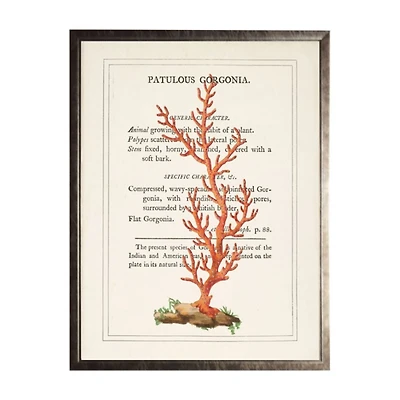 Vintage Red Coral I Framed Art Print