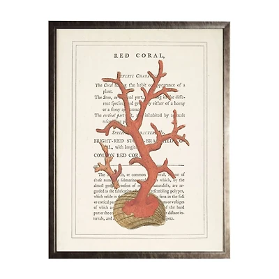 Vintage Red Coral II Framed Art Print