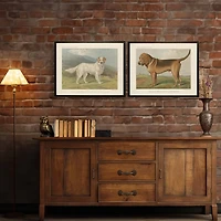 Bloodhound Bookplate Framed Art Print