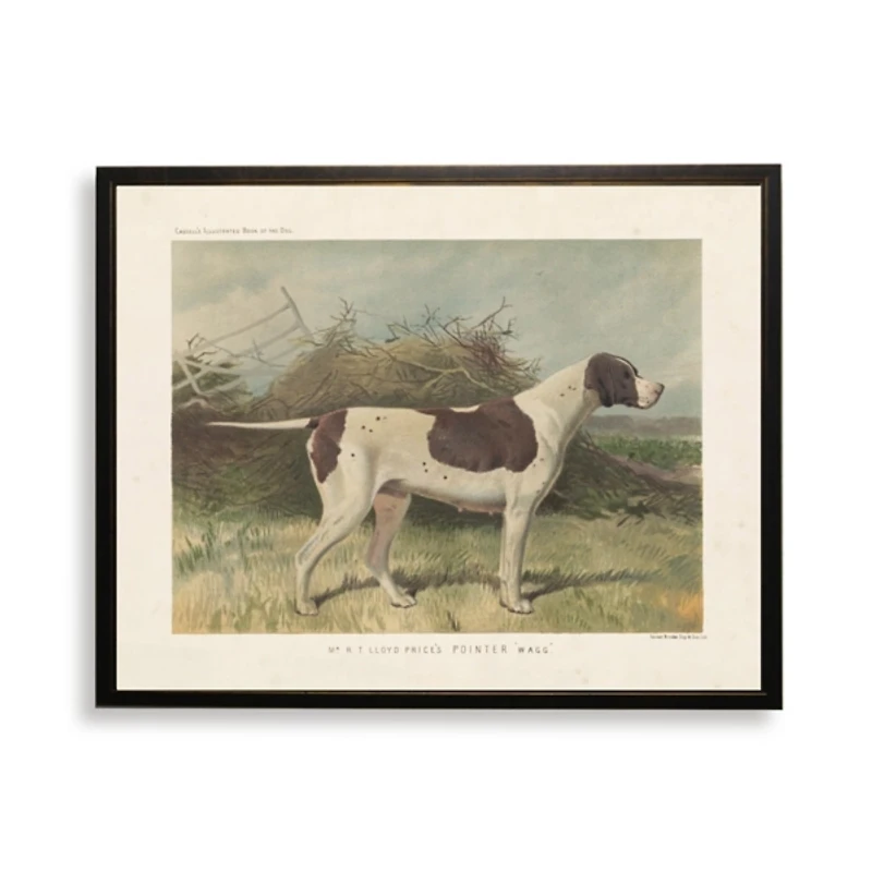 Pointer Bookplate Framed Art Print