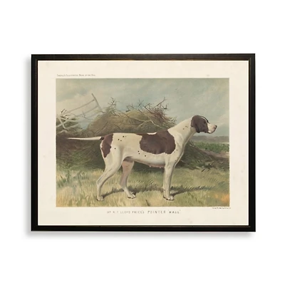 Pointer Bookplate Framed Art Print