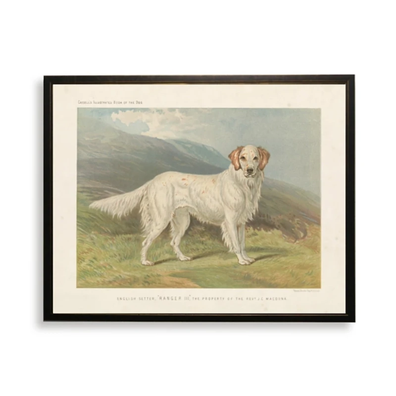 English Setter Bookplate Framed Art Print