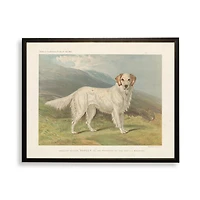 English Setter Bookplate Framed Art Print