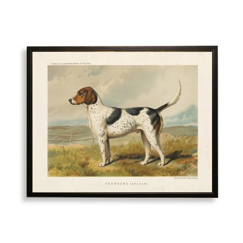 Foxhound Bookplate Framed Art Print