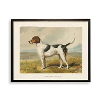 Foxhound Bookplate Framed Art Print
