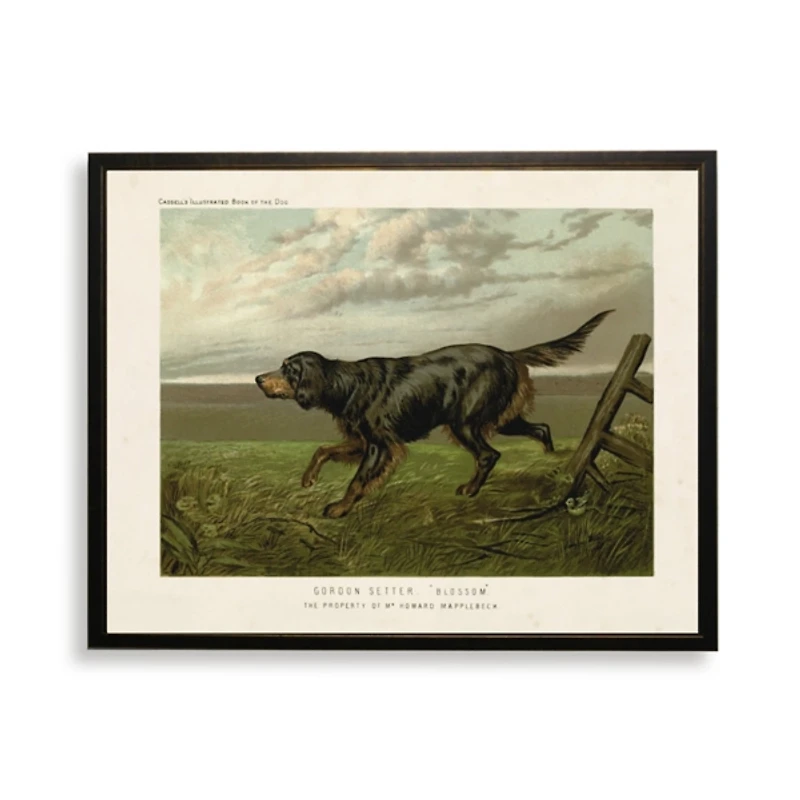 Gordon Setter Bookplate Framed Art Print