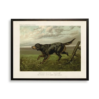 Gordon Setter Bookplate Framed Art Print
