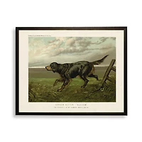 Gordon Setter Bookplate Framed Art Print