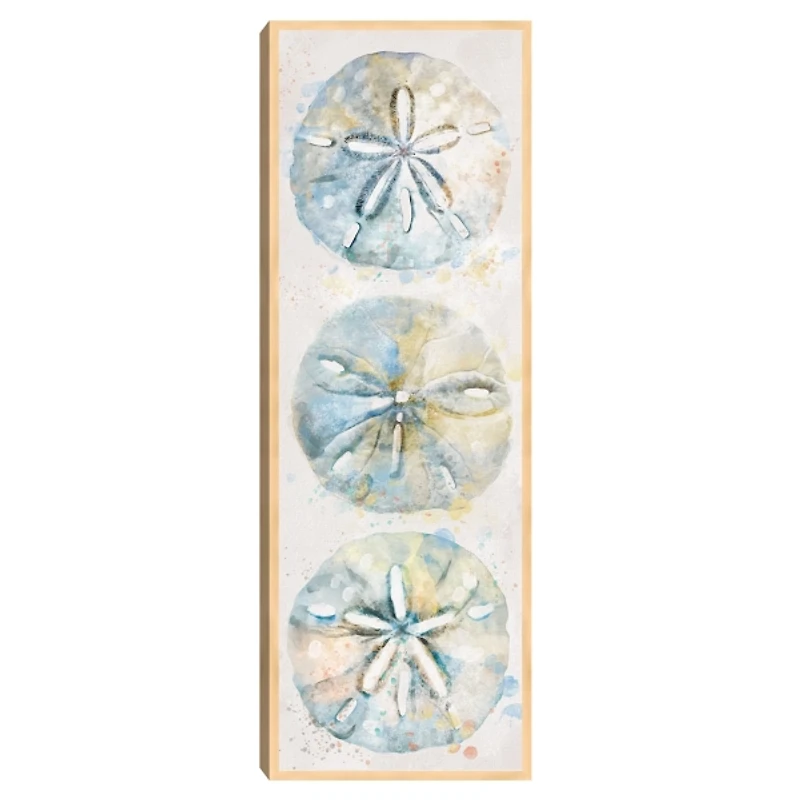 Shell Panel II Framed Canvas Art Print