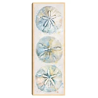 Shell Panel II Framed Canvas Art Print