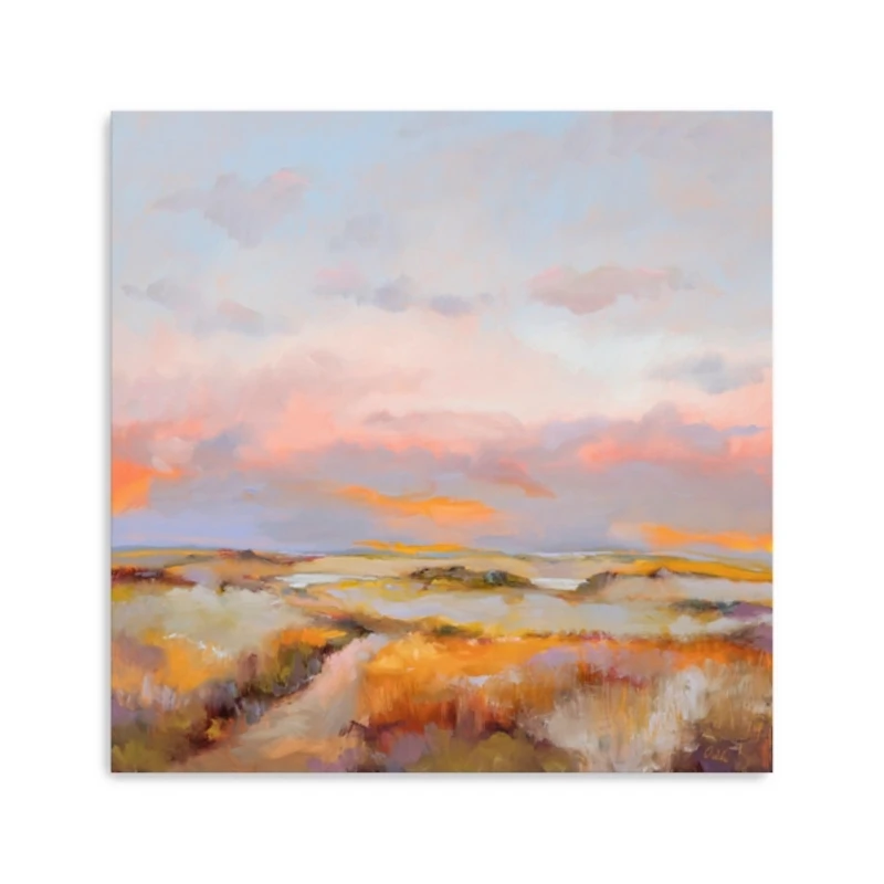 Sky on Fire Canvas Art Print