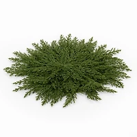 Juniper Christmas Placemat