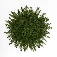 Juniper Christmas Placemat