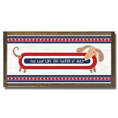Like the Fourth of July Hot Dog Framed Wall Plaque