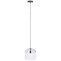 Black Iron Canopy Modern Pendant Light