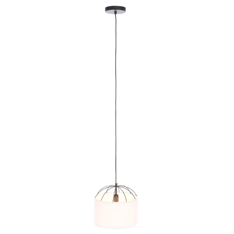 Black Iron Canopy Modern Pendant Light