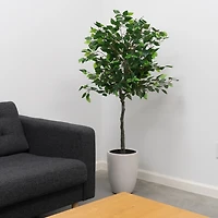 5 ft. Tree in White Ceramic Pot