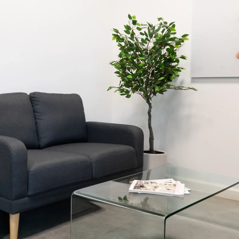 5 ft. Tree in White Ceramic Pot