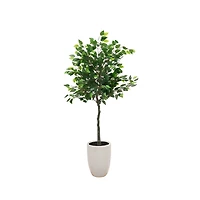 5 ft. Tree in White Ceramic Pot