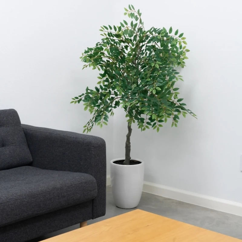 5 ft. Willow Tree in White Ceramic Pot