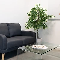 5 ft. Willow Tree in White Ceramic Pot