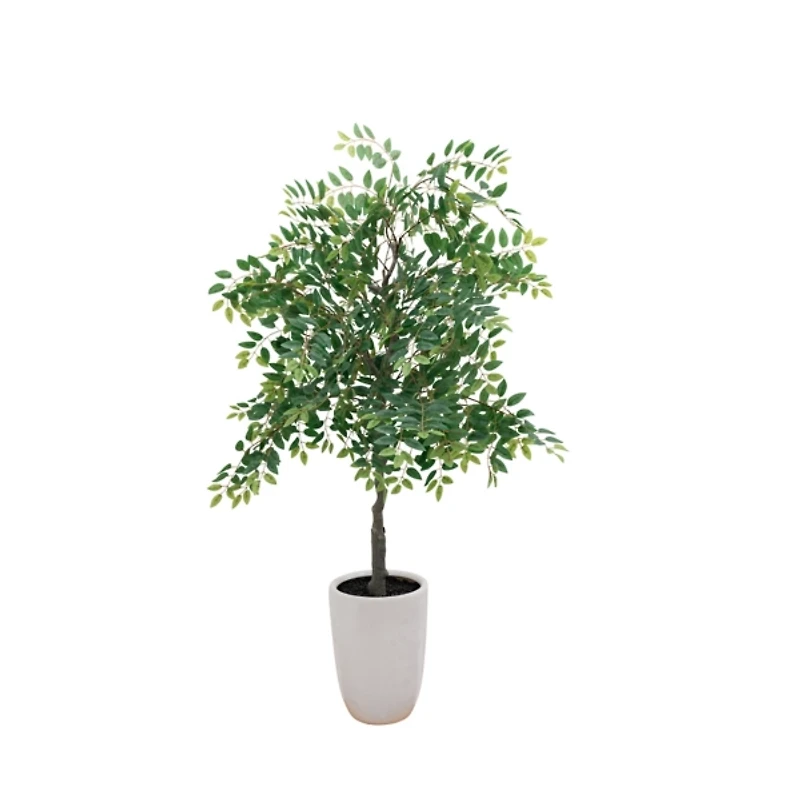 5 ft. Willow Tree in White Ceramic Pot