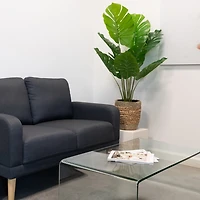 Monstera Plant in Handwoven Basket