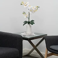 Natural Touch Orchid Arrangement