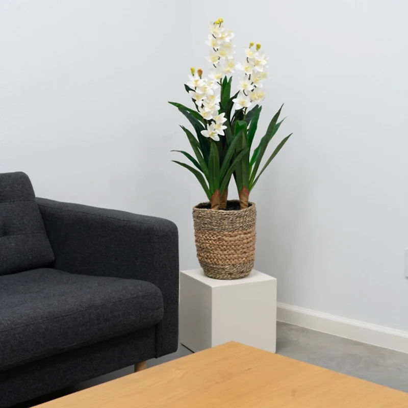 Natural Touch Orchid Arrangement in Basket