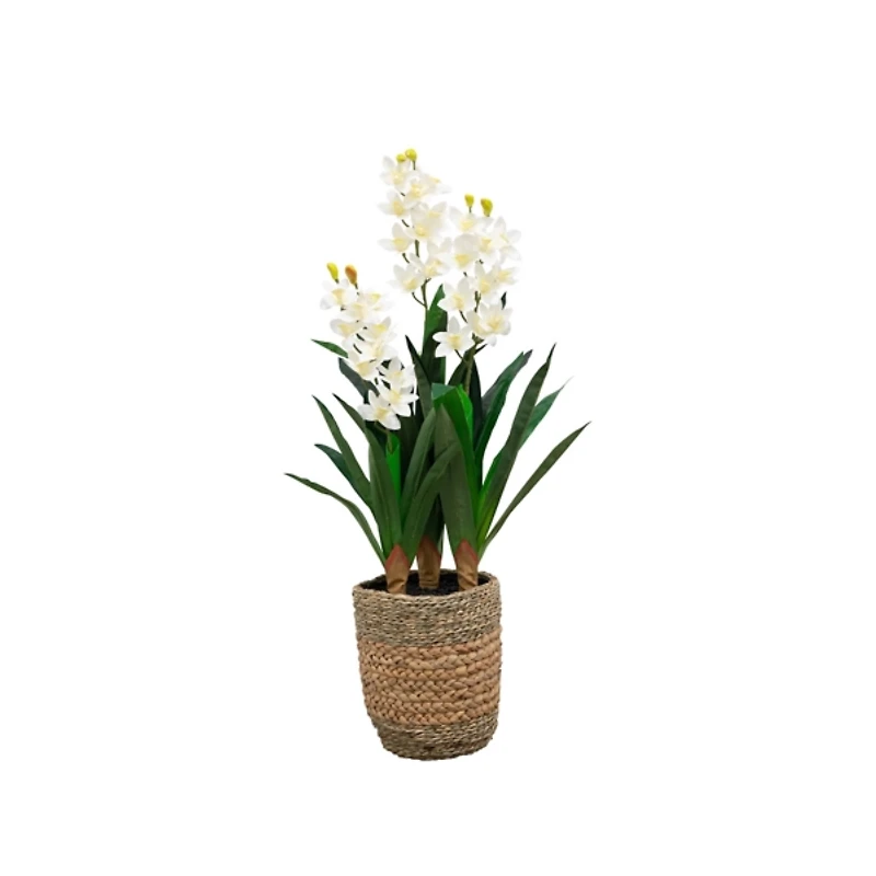 Natural Touch Orchid Arrangement in Basket
