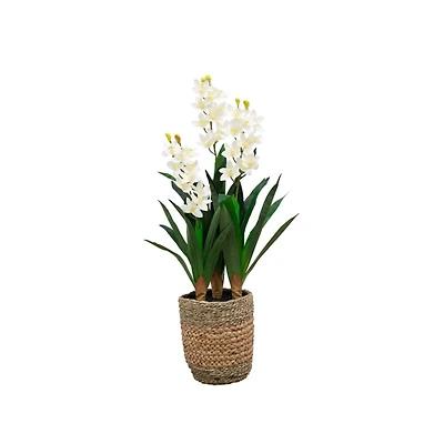 Natural Touch Orchid Arrangement in Basket