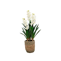 Natural Touch Orchid Arrangement in Basket