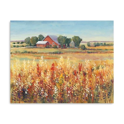 Country View Canvas Art Print, 16x20