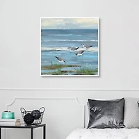 Dunlin Beach Framed Canvas Art Print