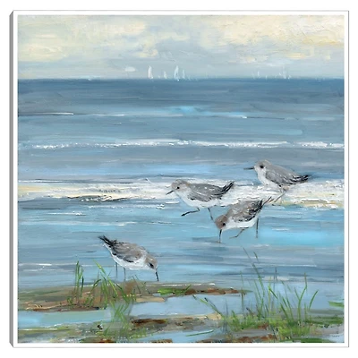 Dunlin Beach Framed Canvas Art Print