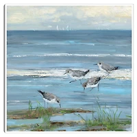 Dunlin Beach Framed Canvas Art Print