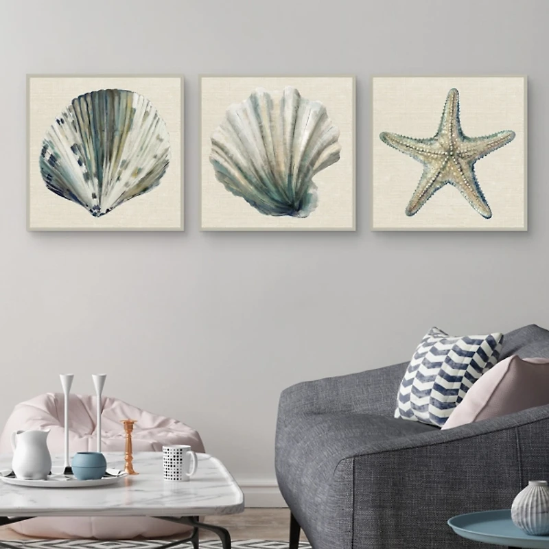 Sea Treasures Framed Canvas Art Prints, Set of 3