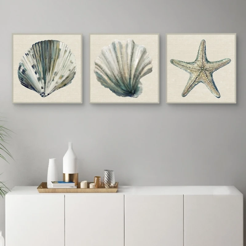 Sea Treasures Framed Canvas Art Prints, Set of 3