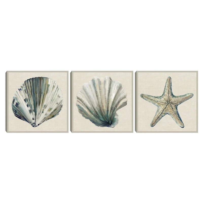 Sea Treasures Framed Canvas Art Prints, Set of 3