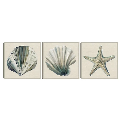 Sea Treasures Framed Canvas Art Prints, Set of 3