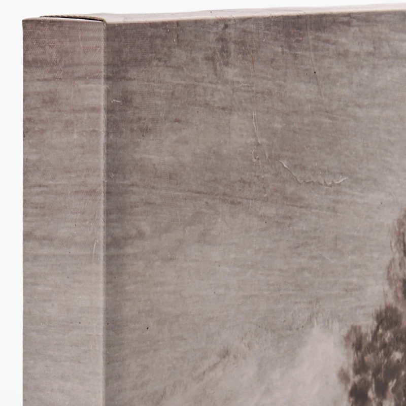 By the Stream Canvas Art Print