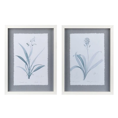 Vintage Blue Floral Framed Art Prints, Set of 2