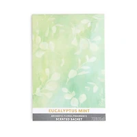 Eucalyptus Mint Sachet