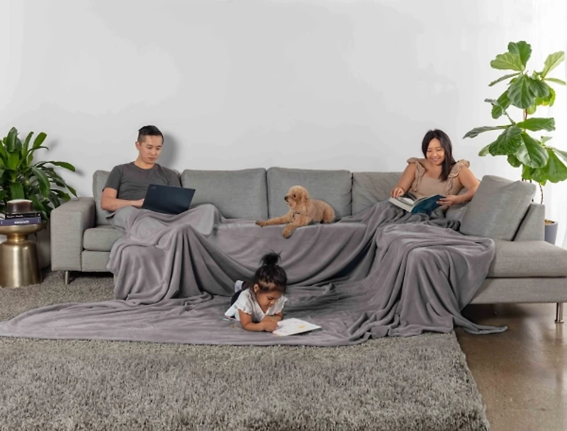 Truly Soft Gray Velvet Plush Family Blanket