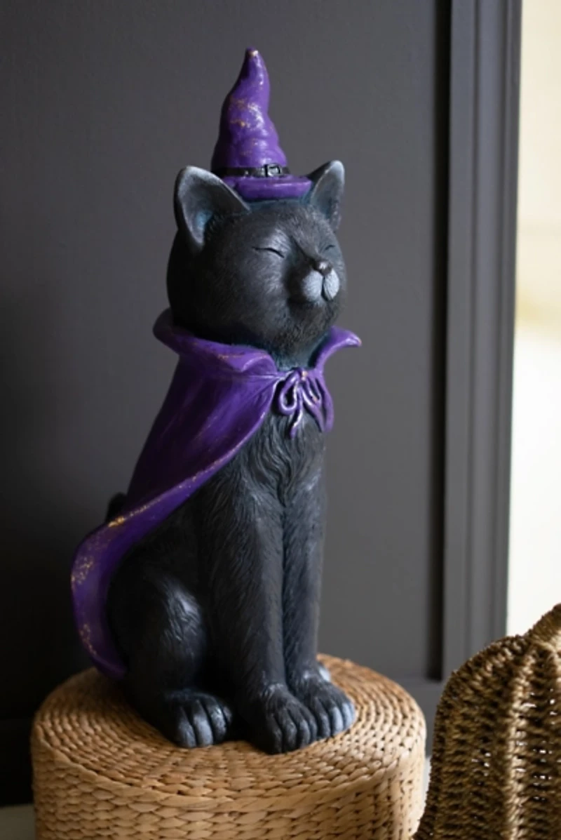 Black Cat with Purple Hat Statue